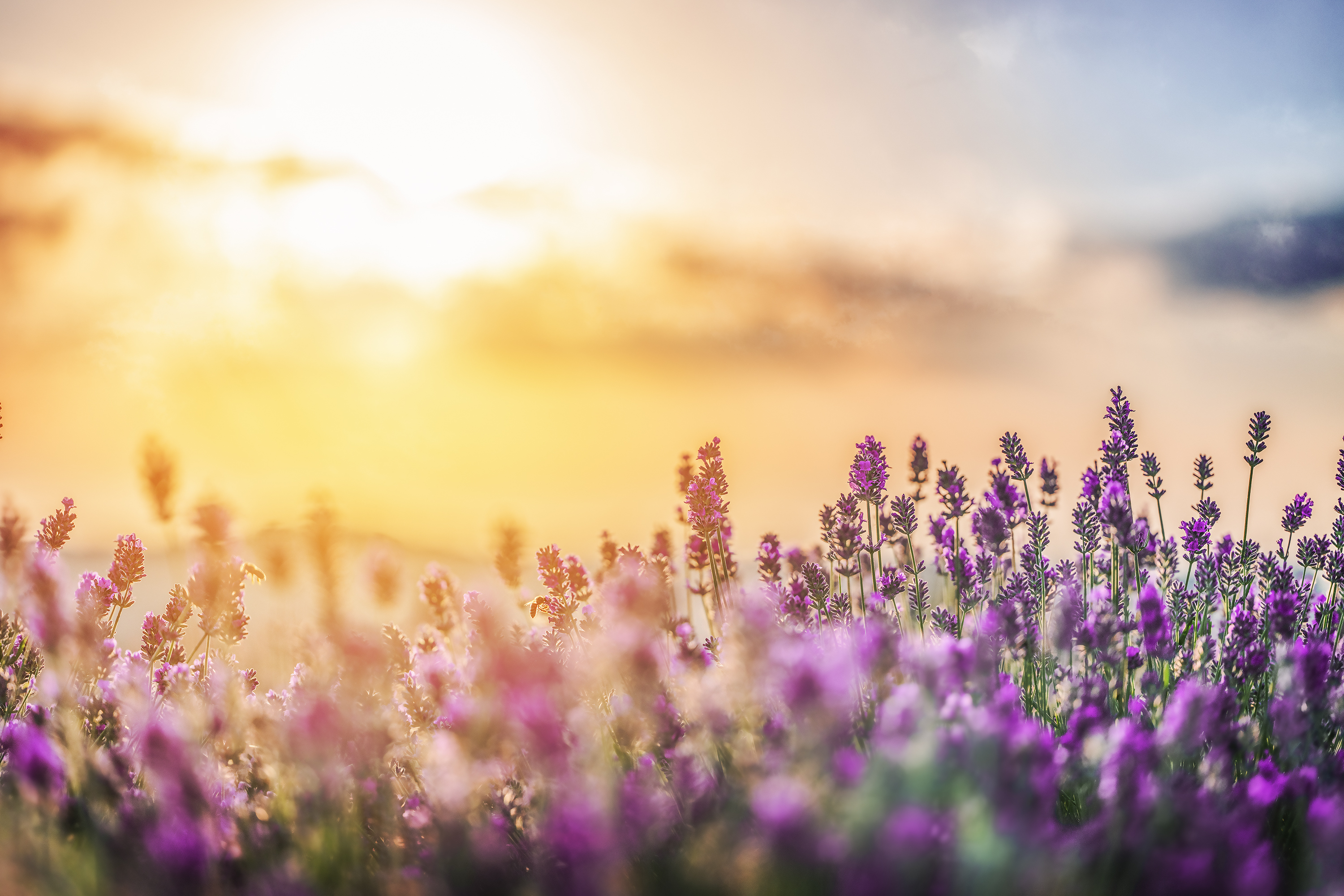 Istock 1456886941