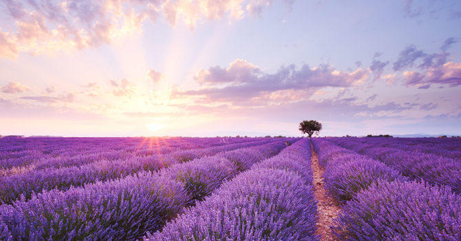 ACT for Parents Raising Children With Autism image