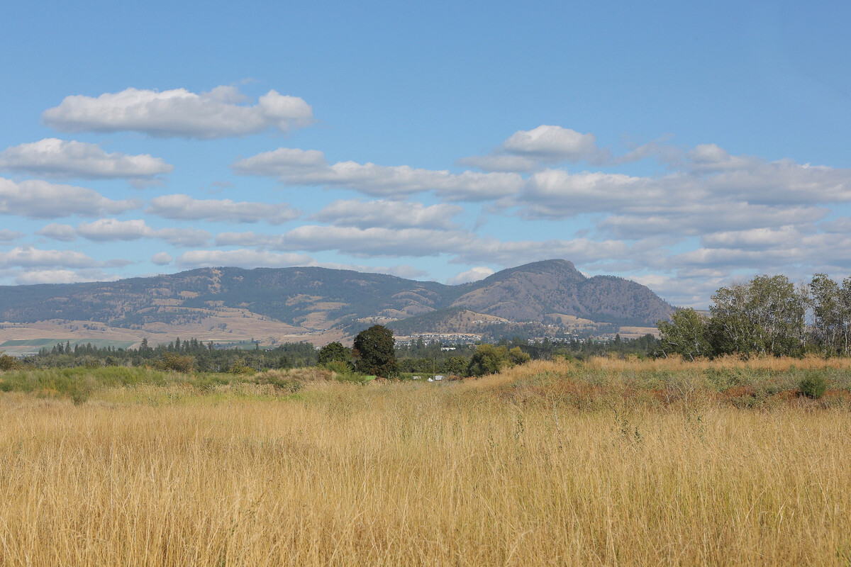 Safe and Sound Therapeutics in Kelowna