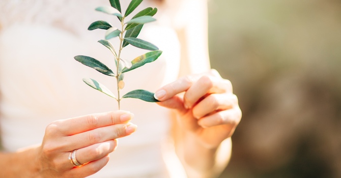 Beyond Labels  image